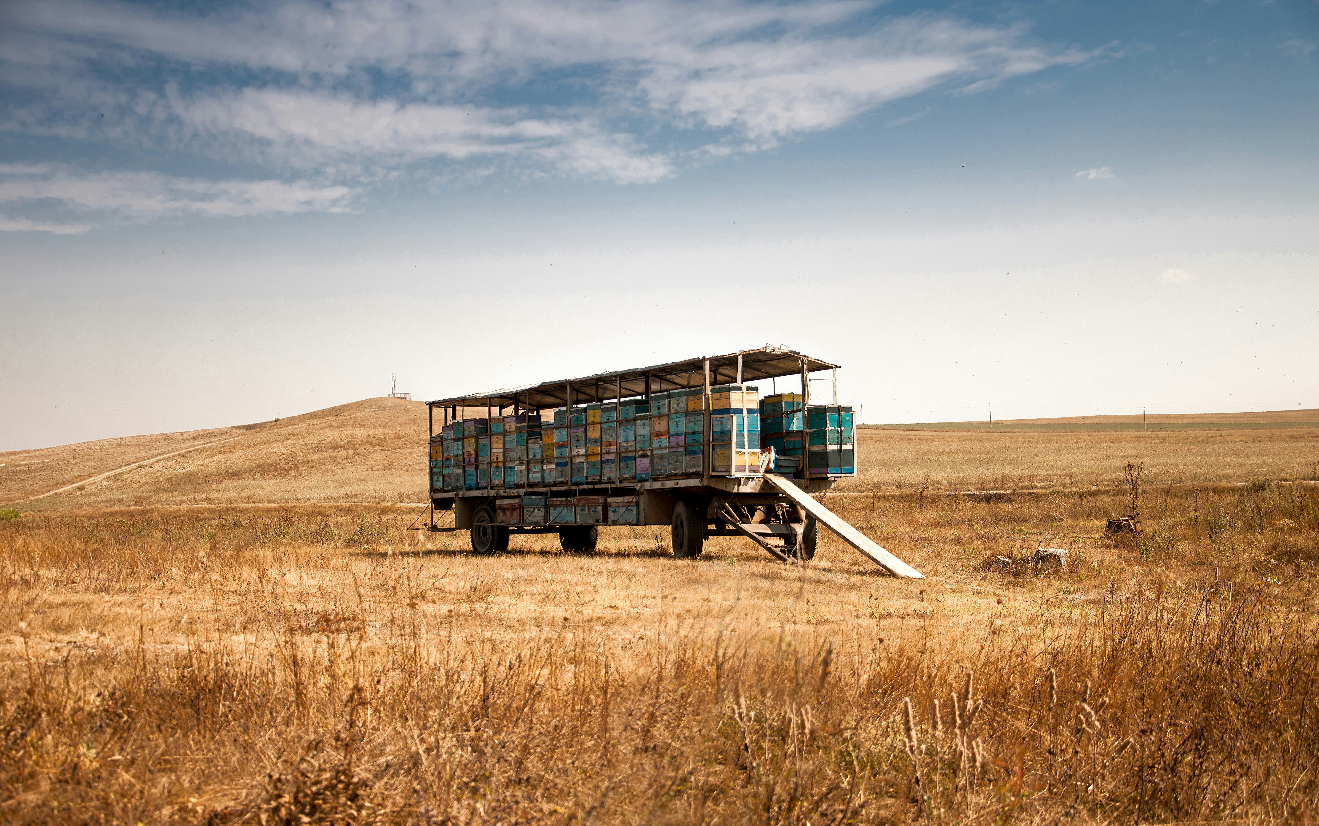 gray utility trailer